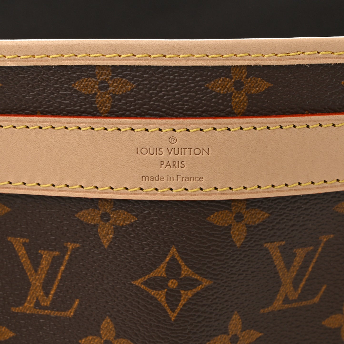 Monogram Dog Carrier 50