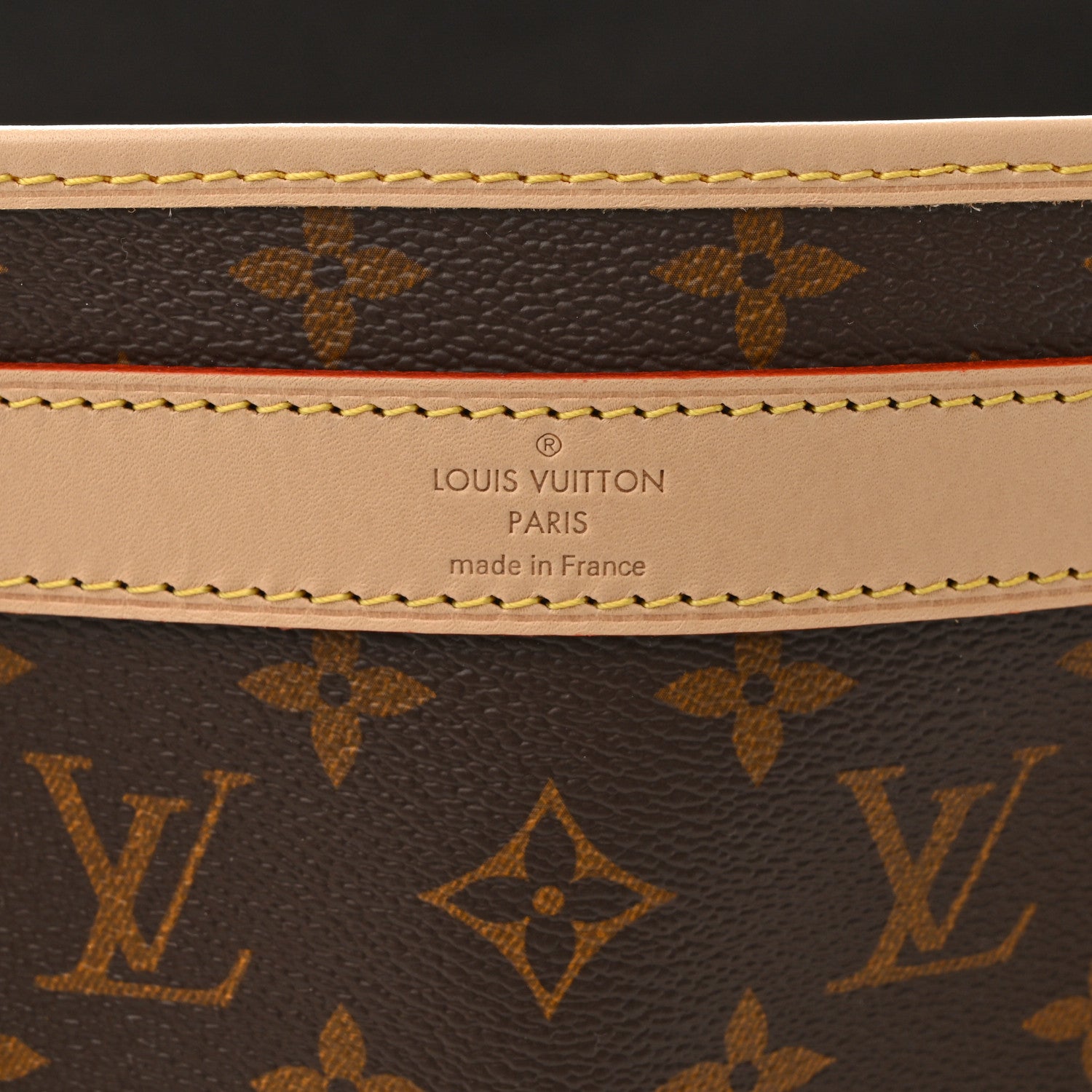 Louis Vuitton Monogram Dog Carrier 50 5 of 8