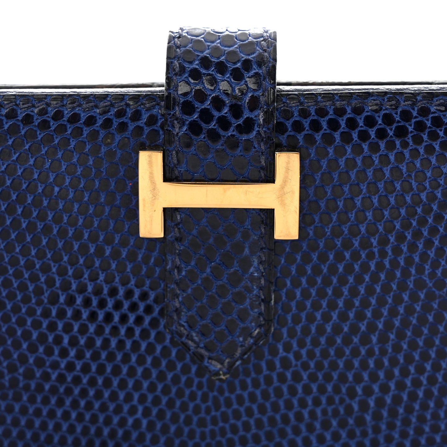 Lizard Bearn Gusset Wallet Bleu Saphir