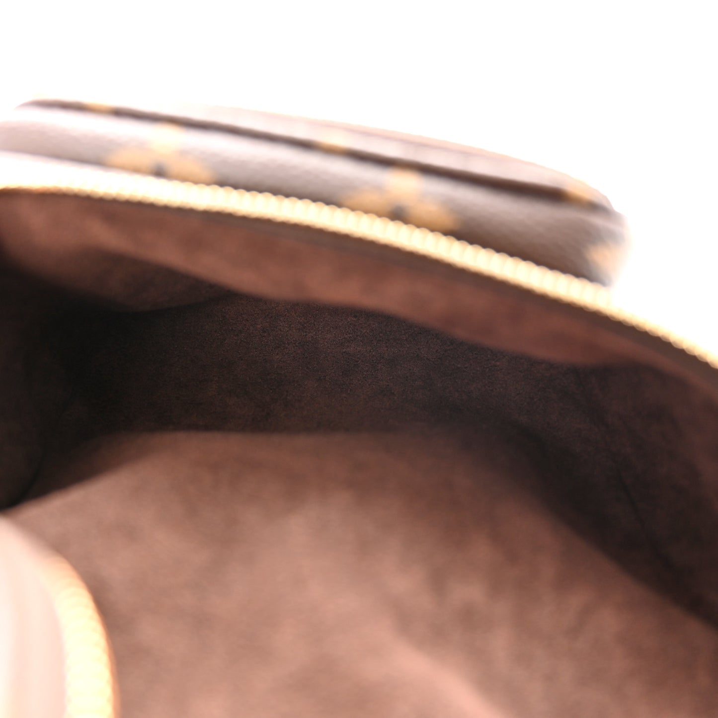 Monogram Mini Bumbag
