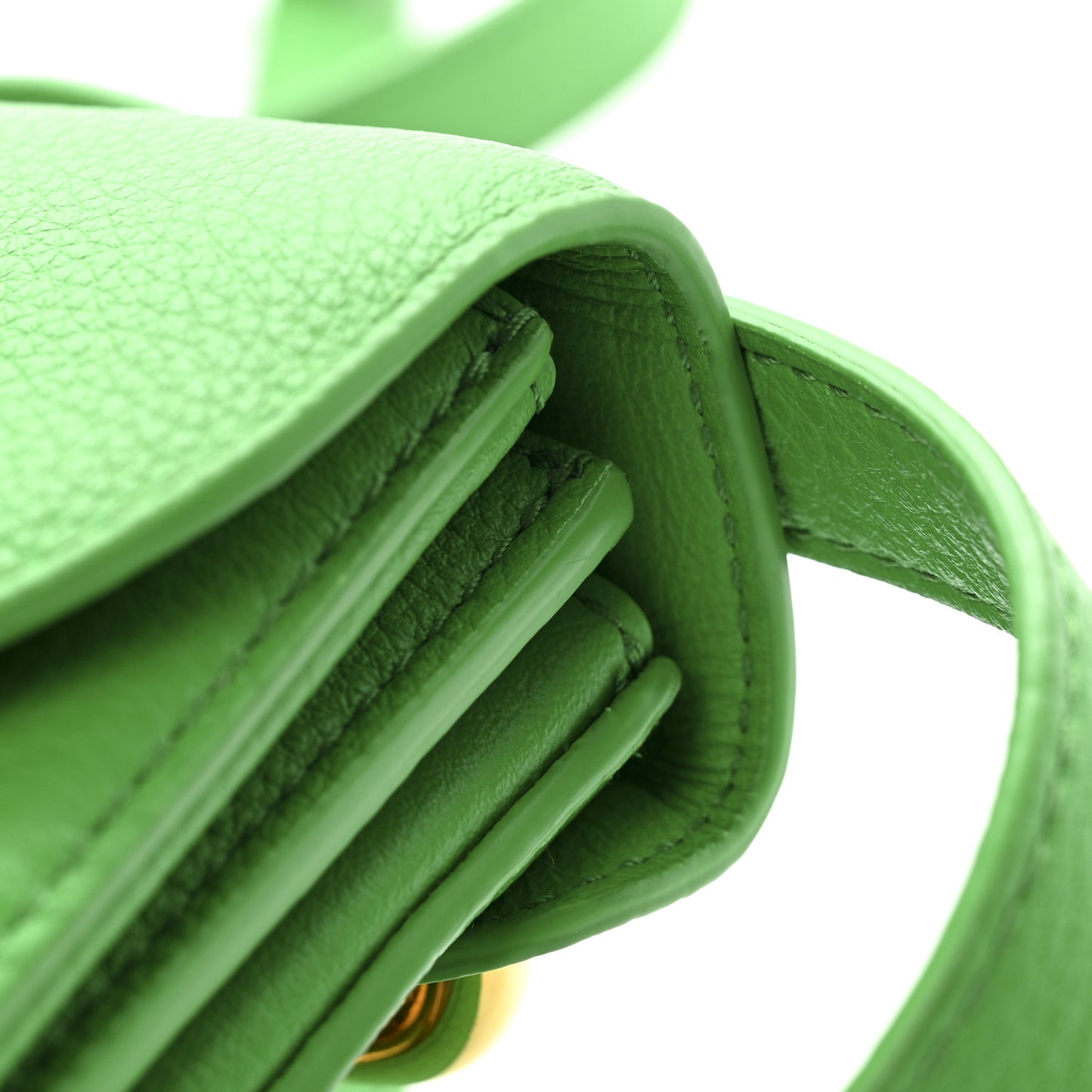 Calfskin Mount Envelope Bag Parakeet