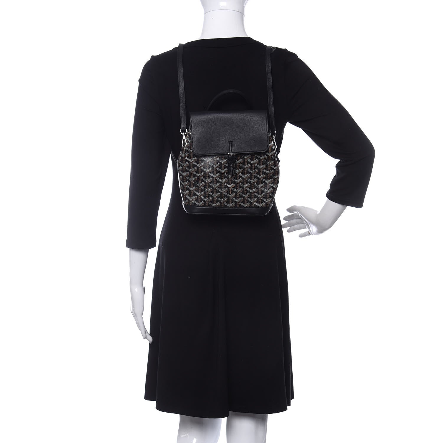Goyard Goyardine Calfskin Mini Alpin Backpack Black 2 of 9