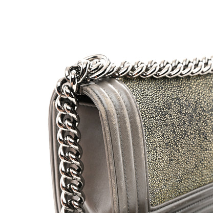 Chanel Galuchat Stingray Small Boy Flap Silver 14 of 16