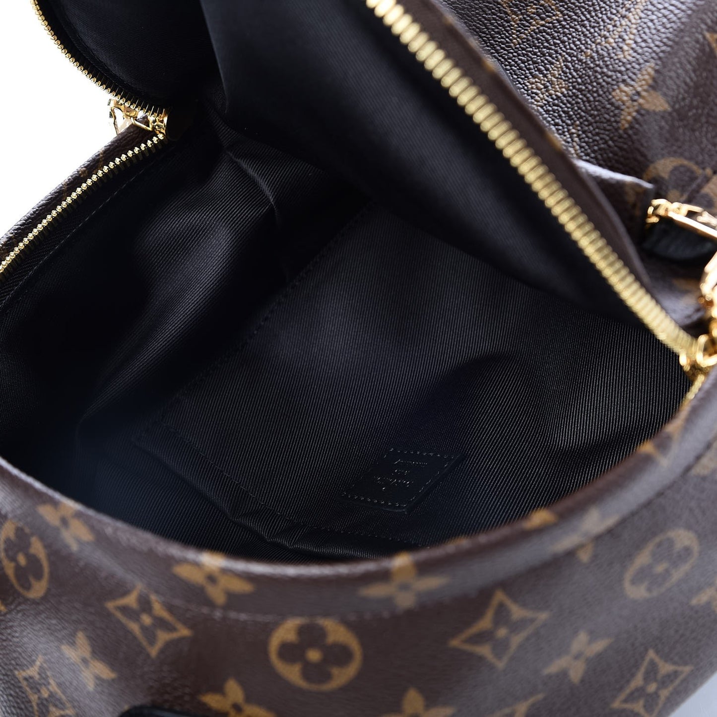 Monogram Palm Springs Backpack PM