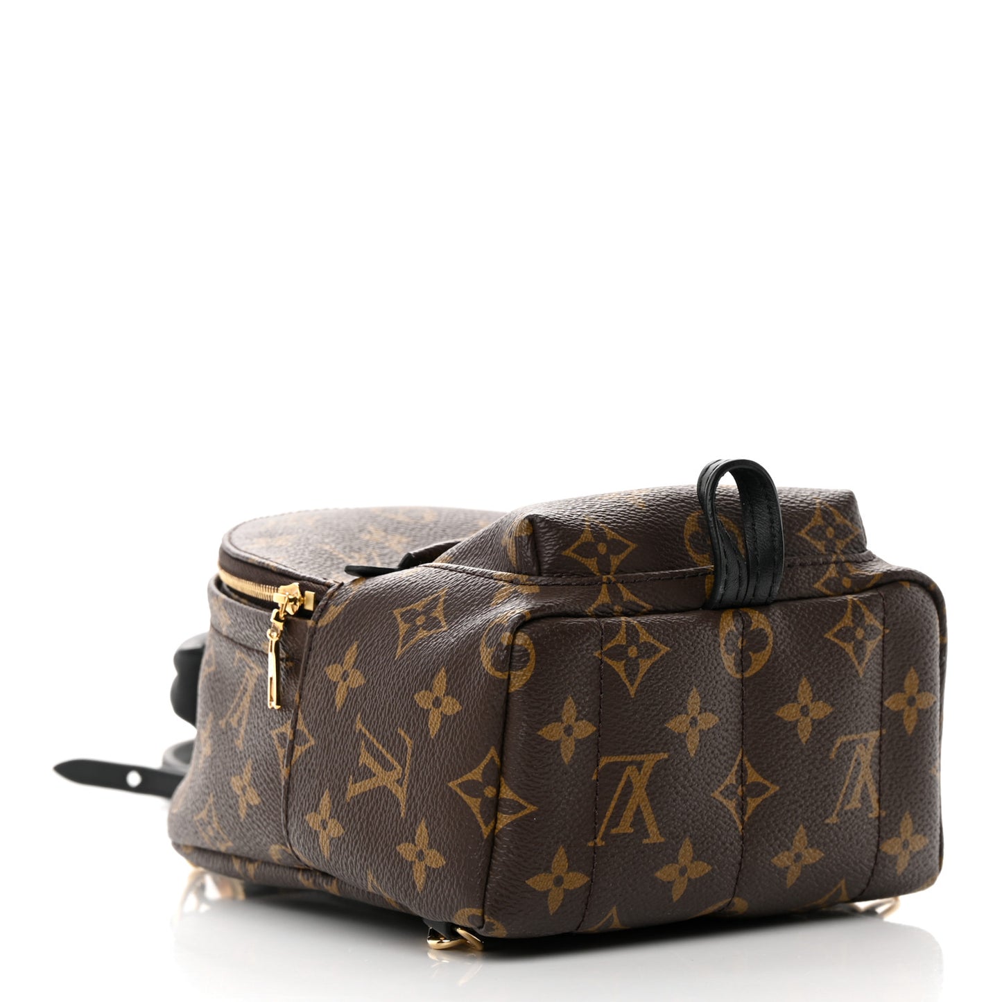 Monogram Palm Springs Backpack Mini