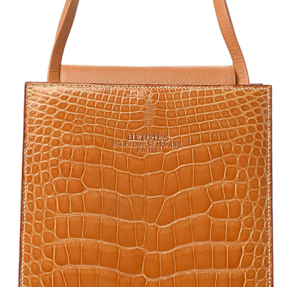 Hermes Shiny Alligator Lucy Tote 7 of 7