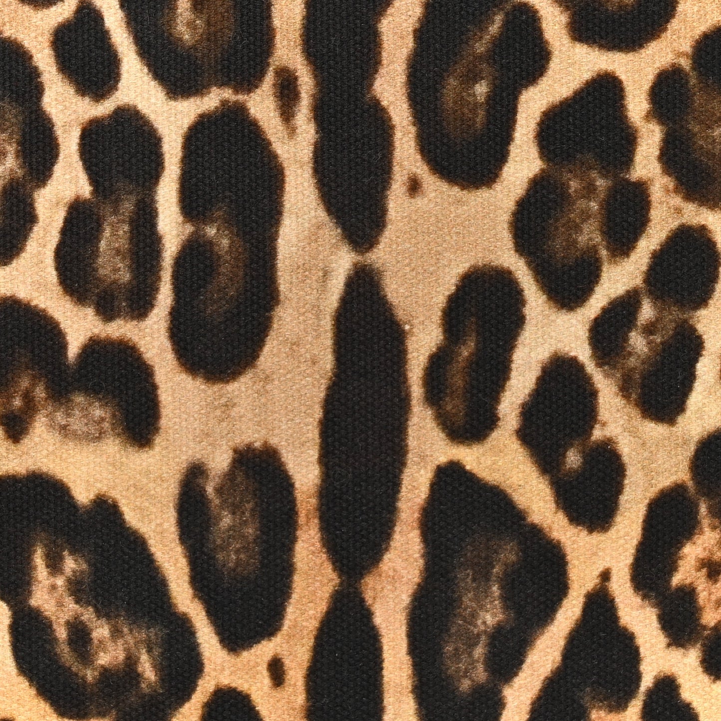 Canvas Nappa Leopard Print Rockstud Tote Brown