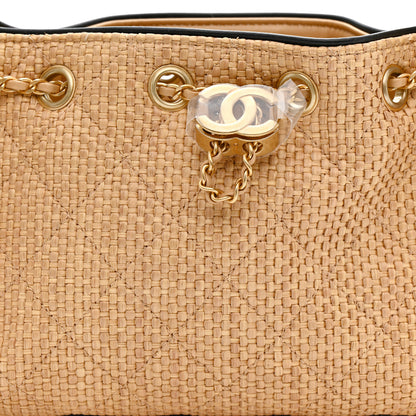 Chanel Braided Raffia Calfskin Quilted Mini Chanel 25 Handbag Beige Black 8 of 11
