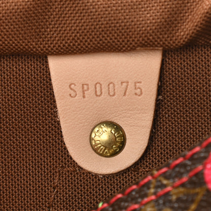 Louis Vuitton Monogram Cerises Speedy 25 9 of 9
