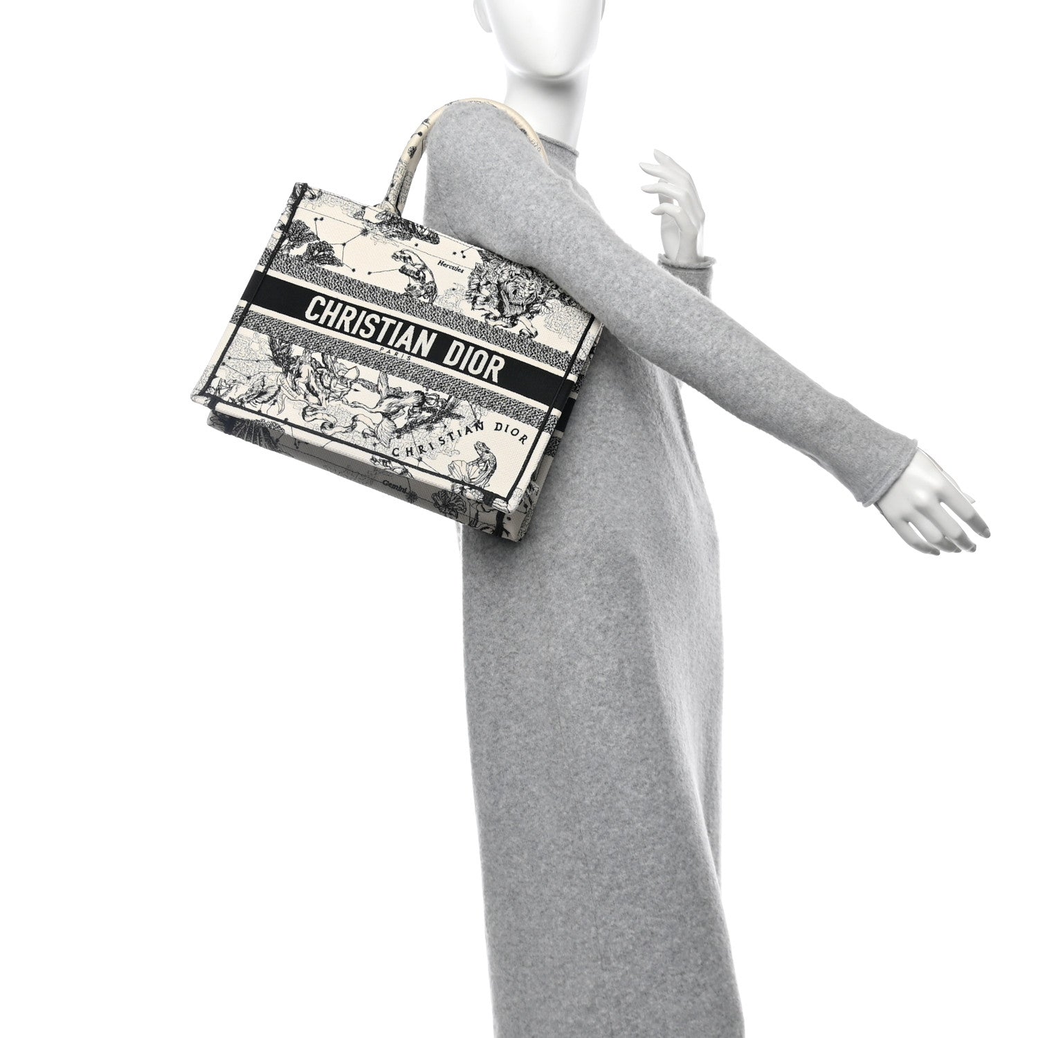 Christian Dior Canvas Zodiac Toile De Jouy Embroidered Medium Book Tote Latte 2 of 12