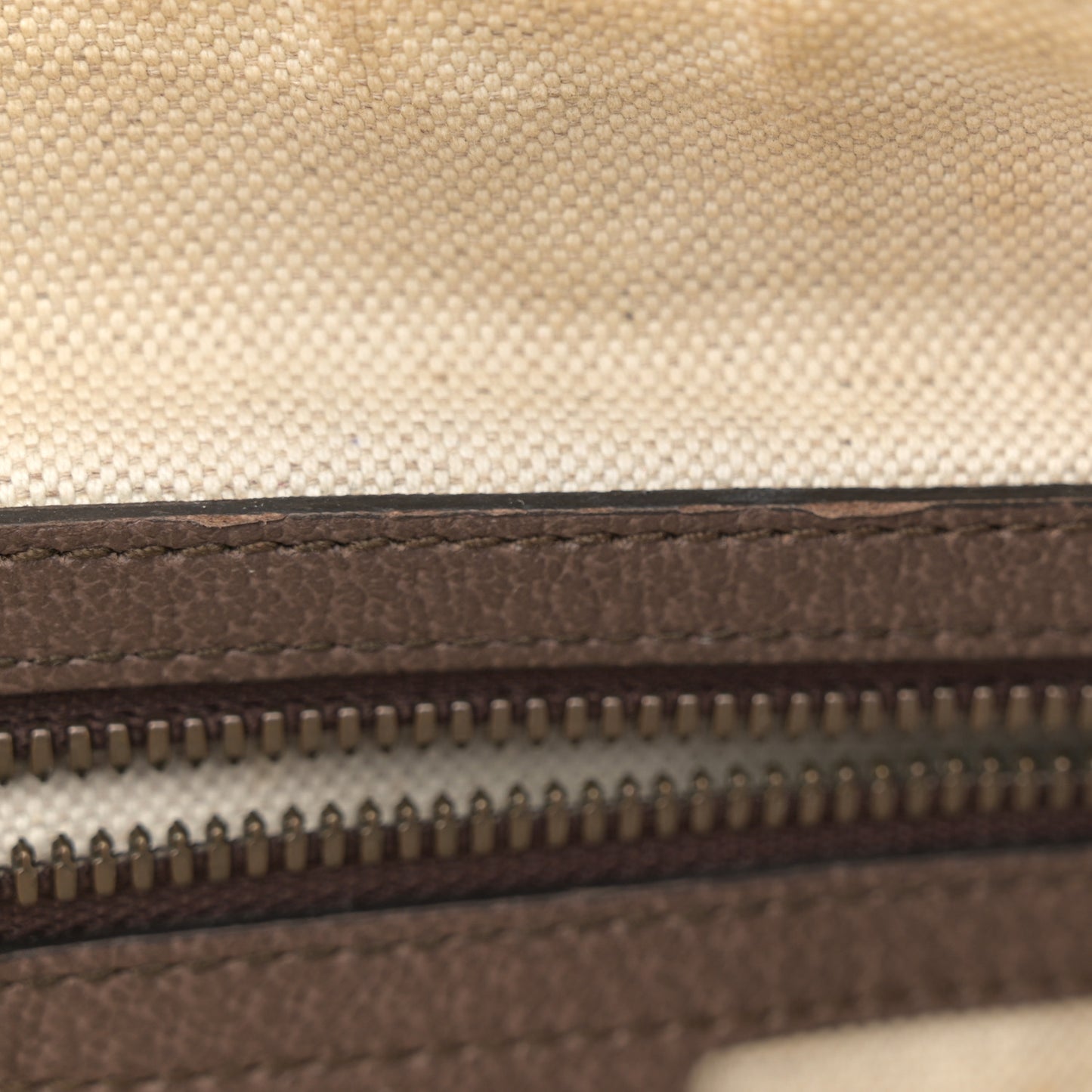 GG Supreme Monogram Web Small Ophidia Half Moon Hobo Brown