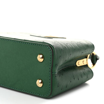 Louis Vuitton Ostrich Capucines Mini Mint 9 of 10