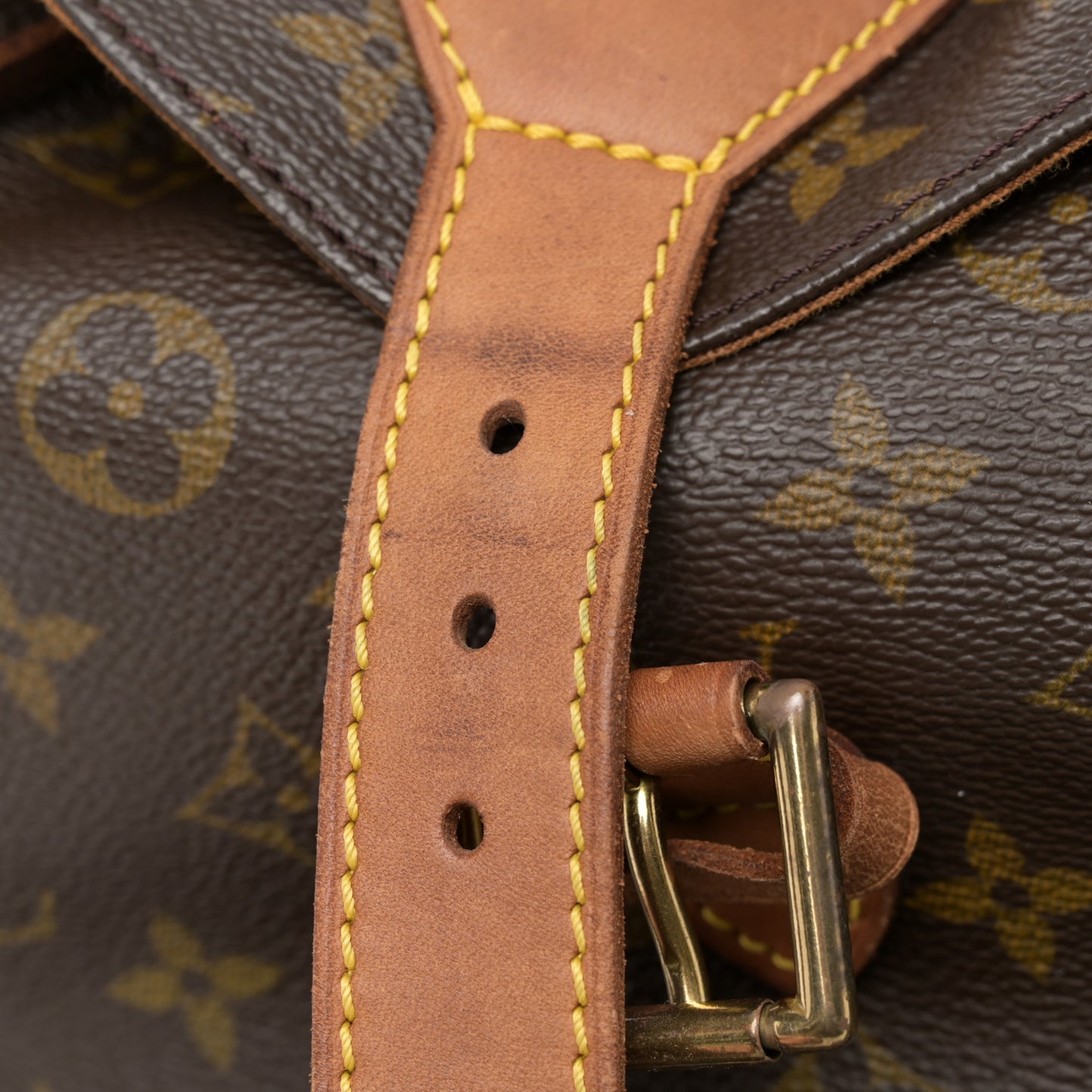 Monogram Montsouris GM Backpack