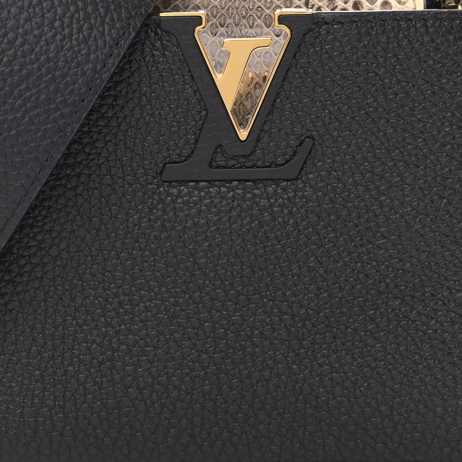 Louis Vuitton Taurillon Ayers Mini Capucines Black 6 of 9