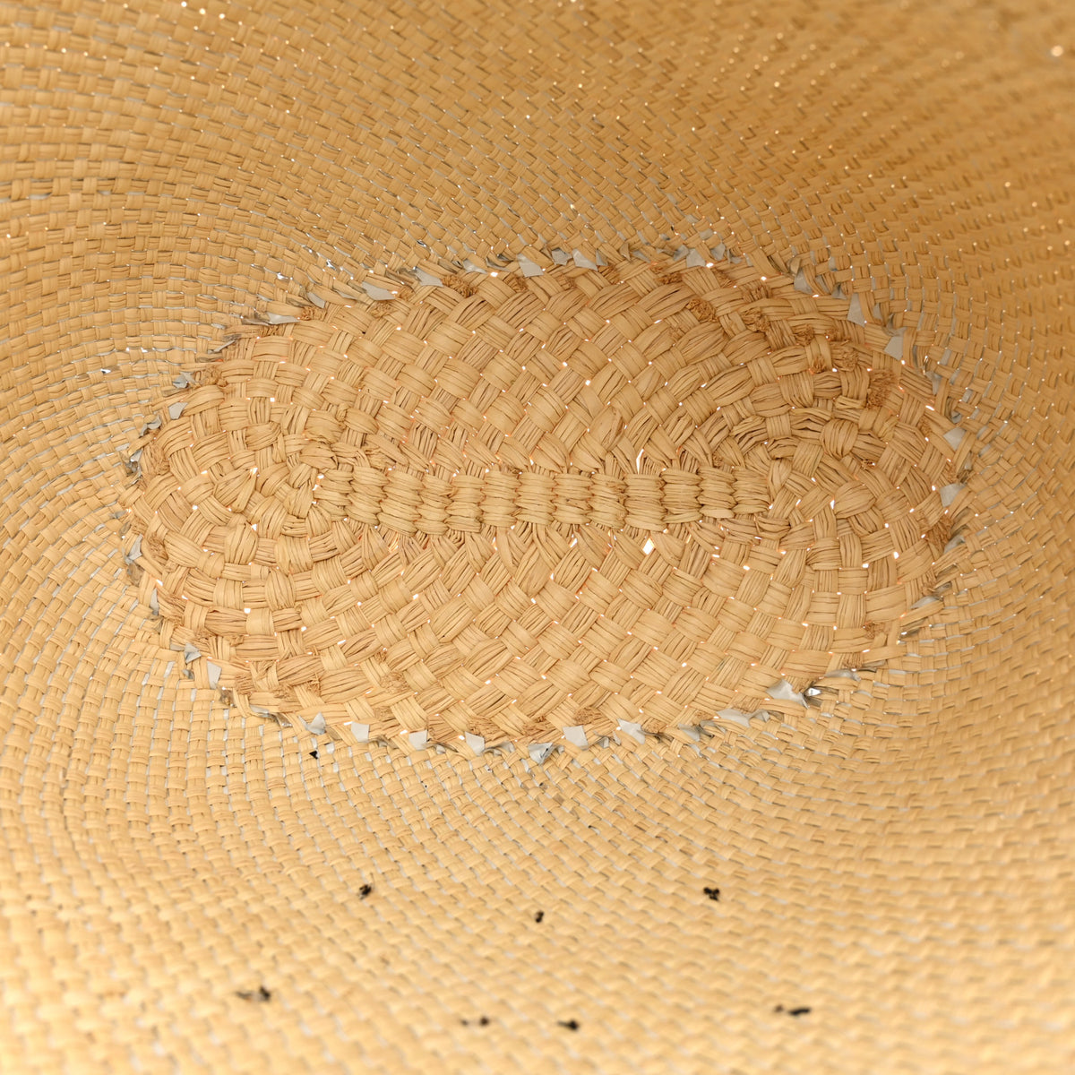 Loewe Calfskin Raffia Paulas Ibiza Sparkling Metallic Anagram Basket Tote Bag Natural Silver 5 of 11