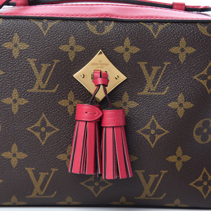 Louis Vuitton Monogram Saintonge Freesia 8 of 10