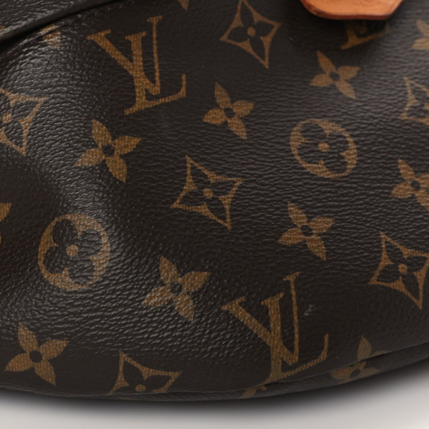 Louis Vuitton Monogram Bumbag 8 of 9