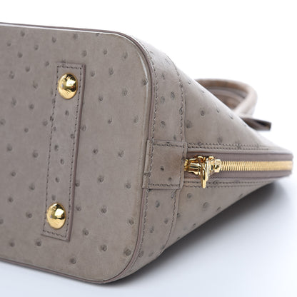 Louis Vuitton Ostrich Alma PM Gris 8 of 13