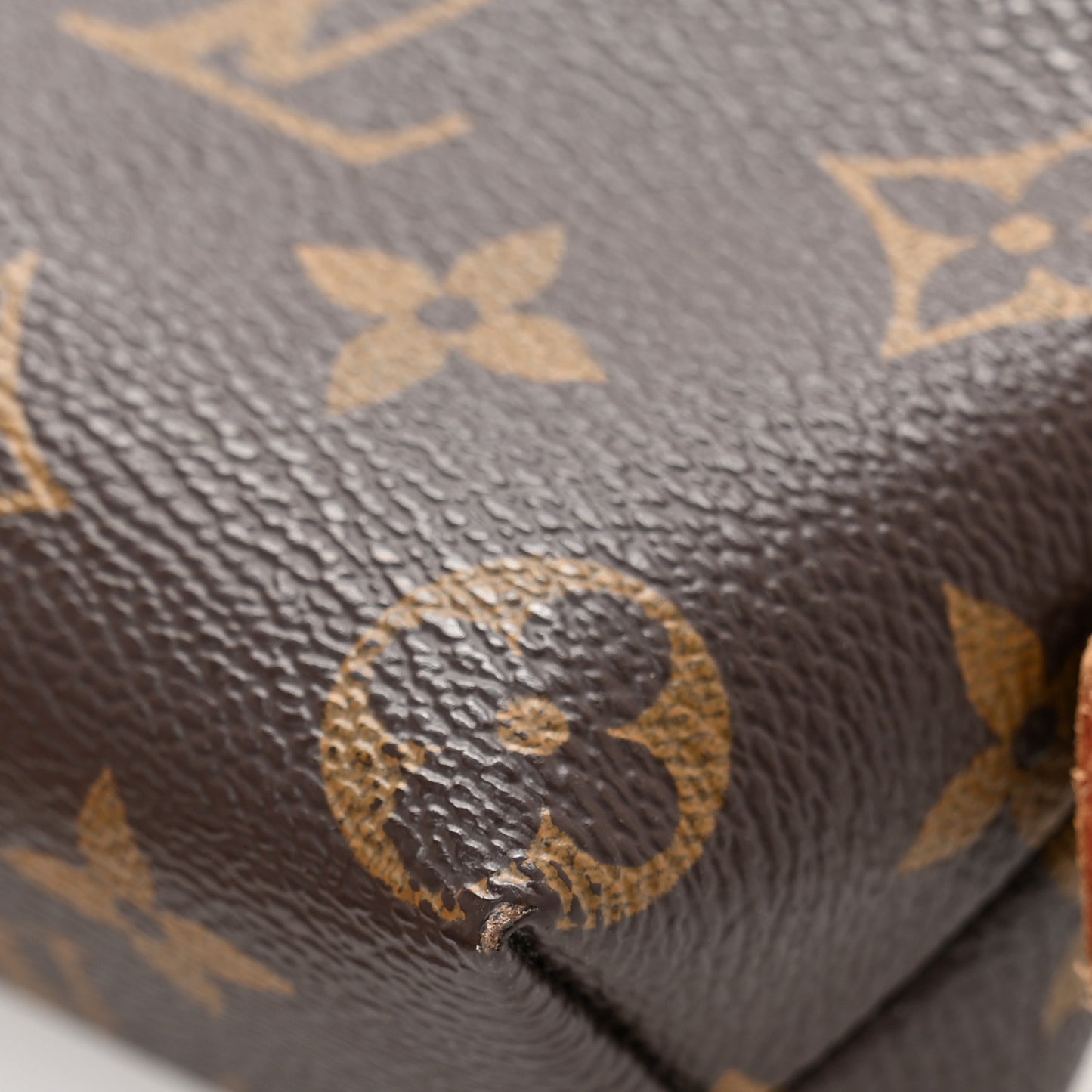Monogram Cosmetic Pouch