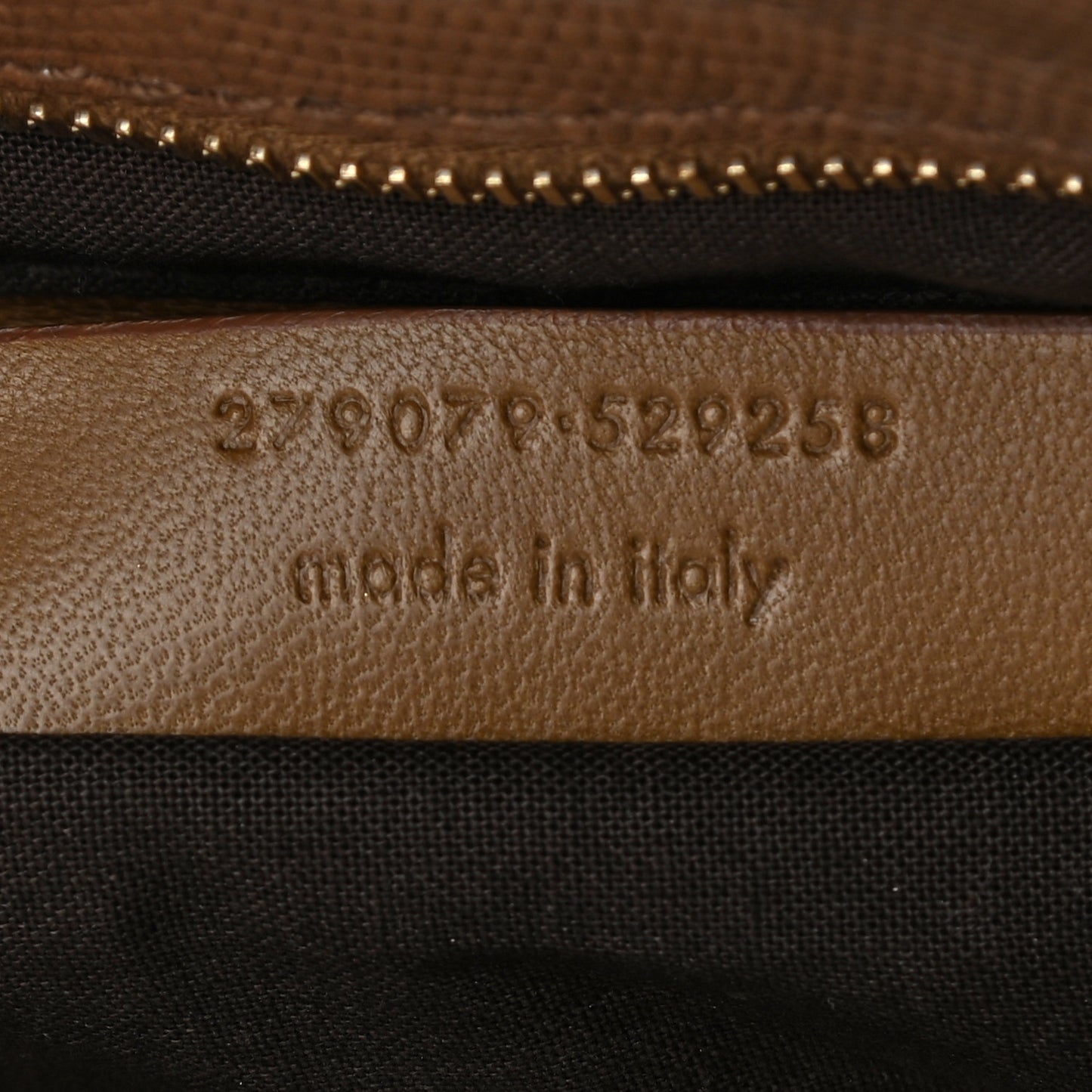 Lizard Calfskin Embossed Medium Cabas ChYc Brown