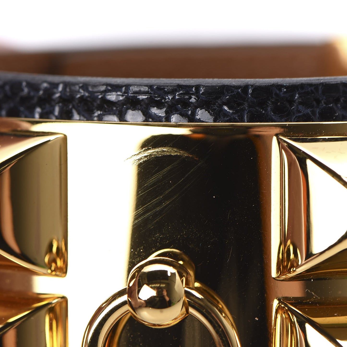 Lizard Collier De Chien CDC Bracelet T2 Bleu Indigo