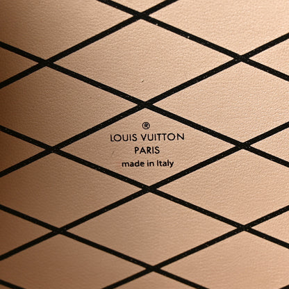 Louis Vuitton Metallic Epi Petite Malle Silver 6 of 9