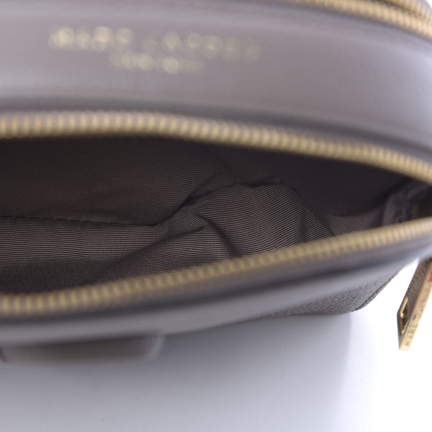 Calfskin Shutter Camera Crossbody Bag Loam Soil