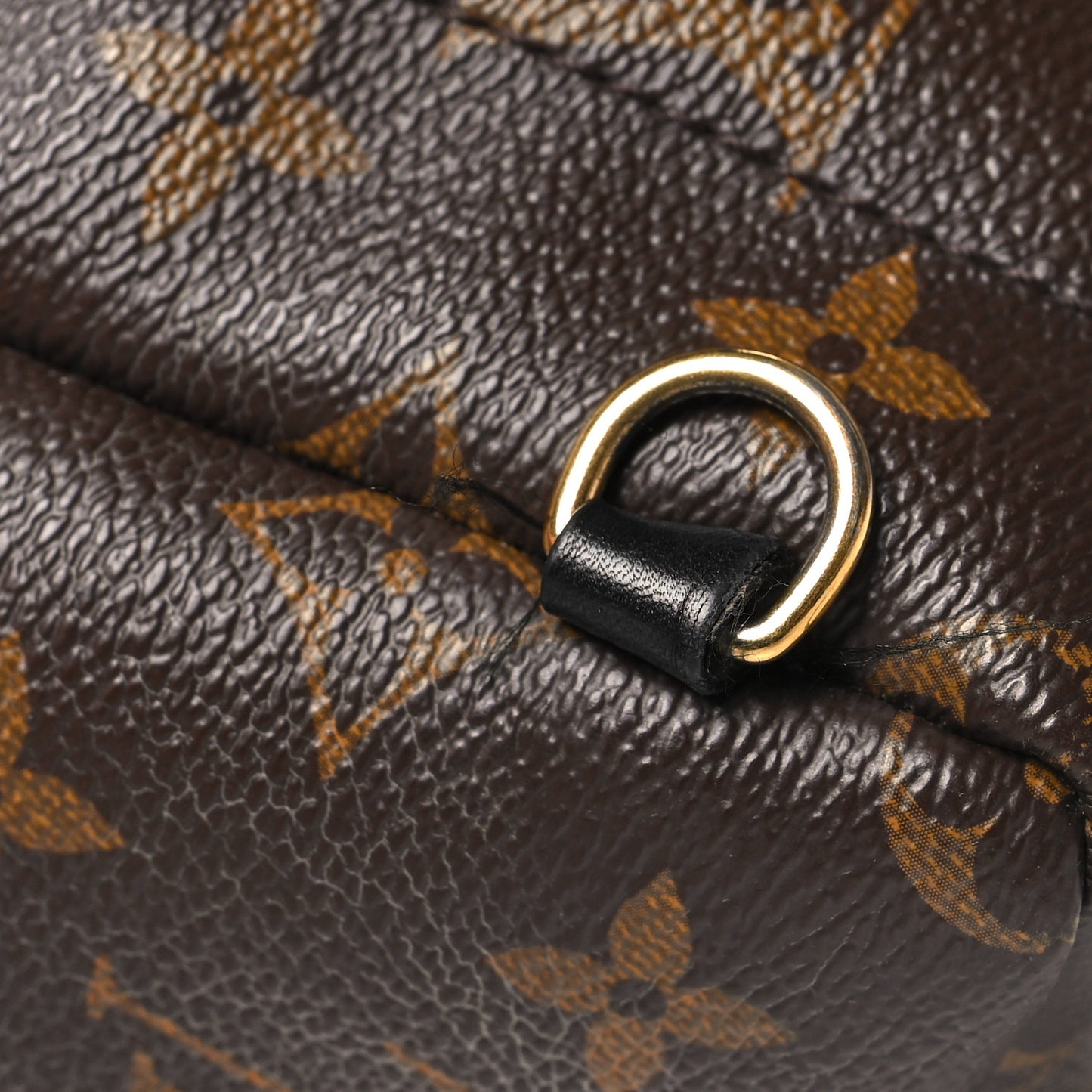 Monogram Palm Springs Backpack Mini