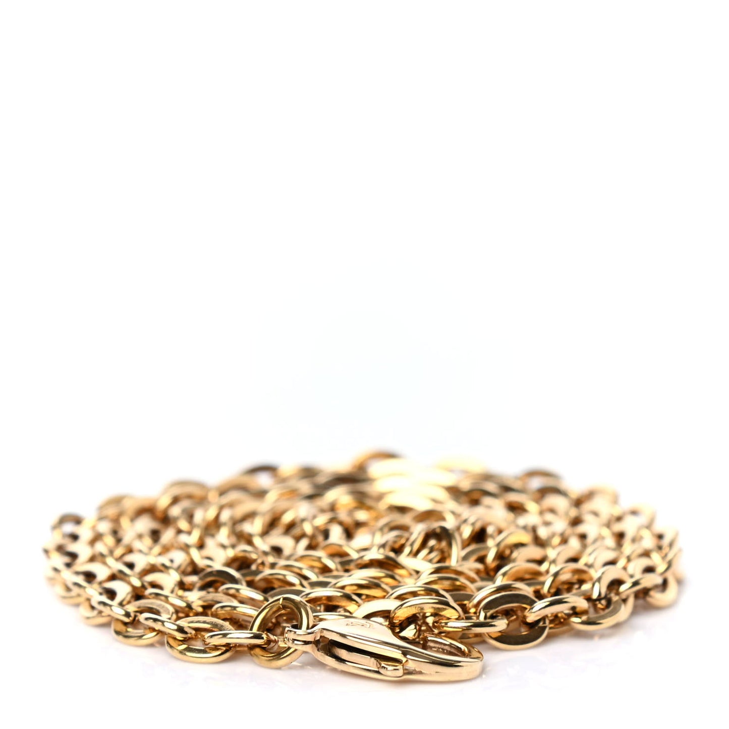 Felicie Chain Long Shoulder Strap
