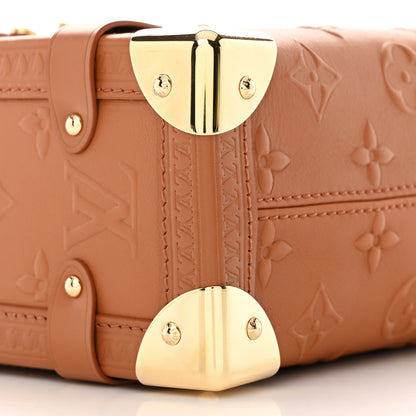 Louis Vuitton Calfskin Debossed Monogram Side Trunk Tan 8 of 9