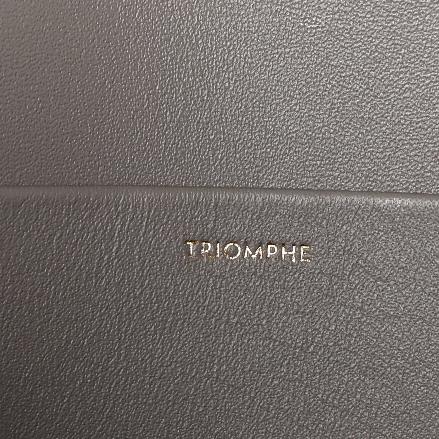 Shiny Calfskin Medium Triomphe Pebble