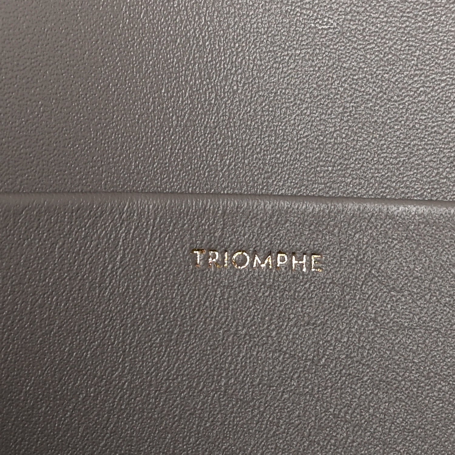 Celine Shiny Calfskin Medium Triomphe Pebble 8 of 12