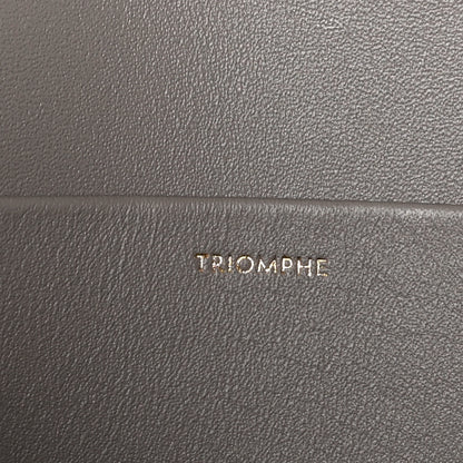 Celine Shiny Calfskin Medium Triomphe Pebble 8 of 12