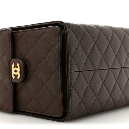 Chanel Caviar Quilted Medium Chanel 25 Handbag Dark Brown 8 of 9