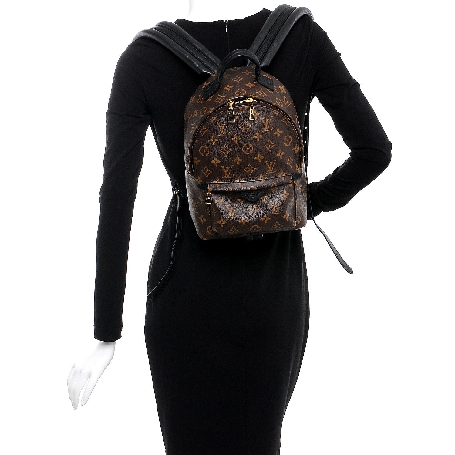 Louis Vuitton Monogram Palm Springs Backpack PM 2 of 7