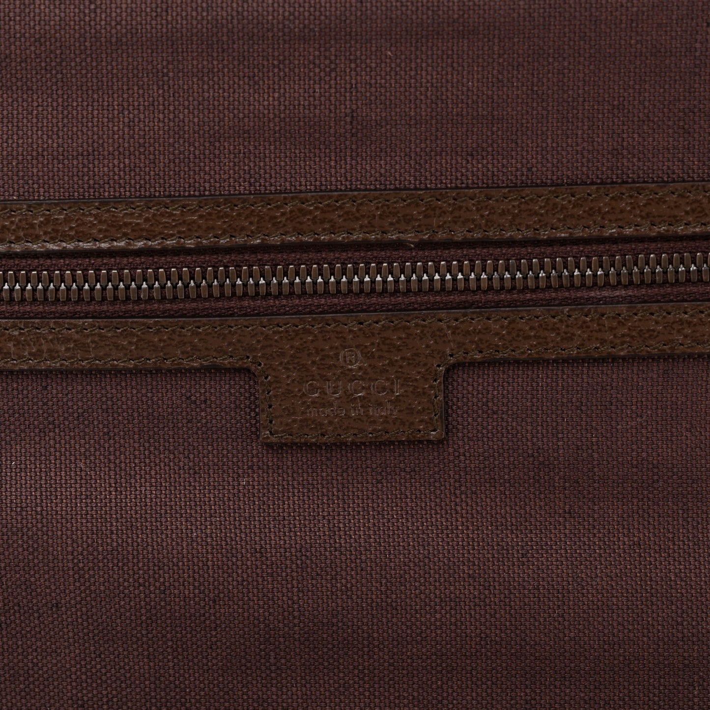 GG Supreme Monogram Textured Dollar Calfskin Web Ophidia Savoy Garment Bag Beige Ebony New Acero