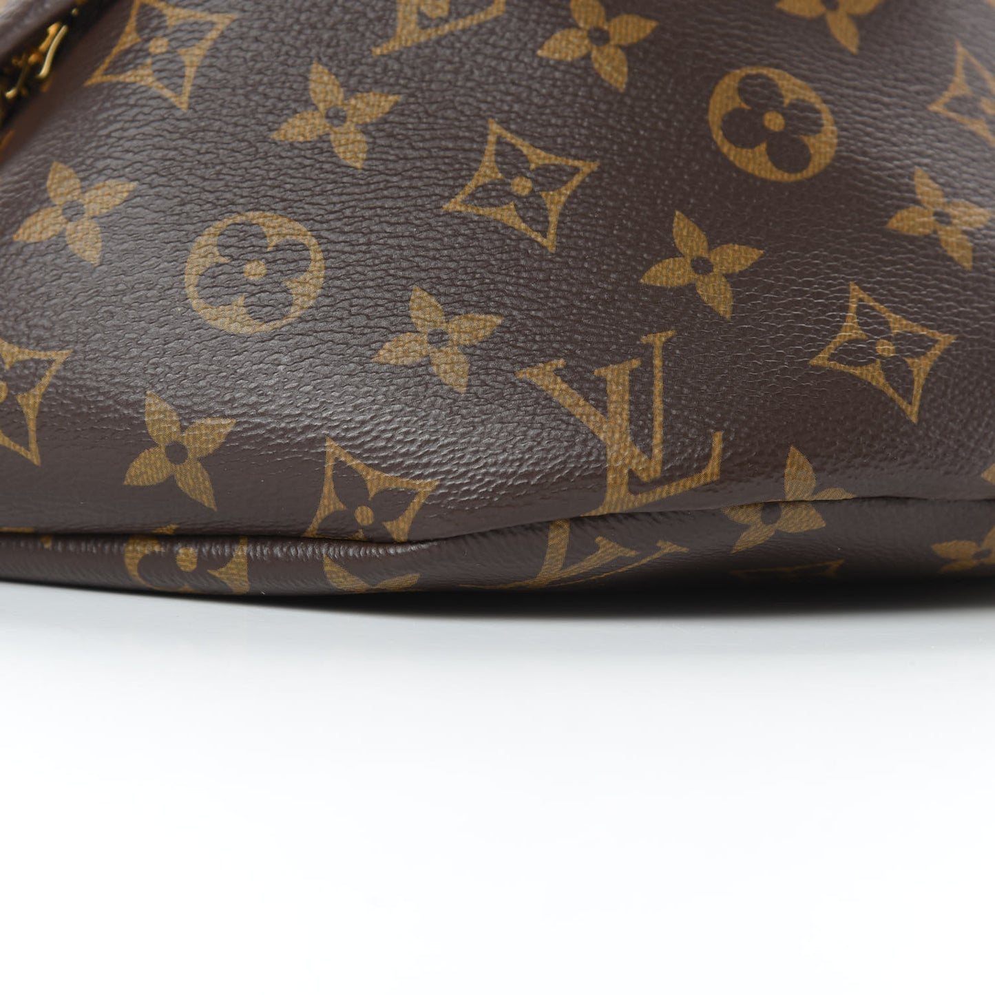 Monogram Bumbag