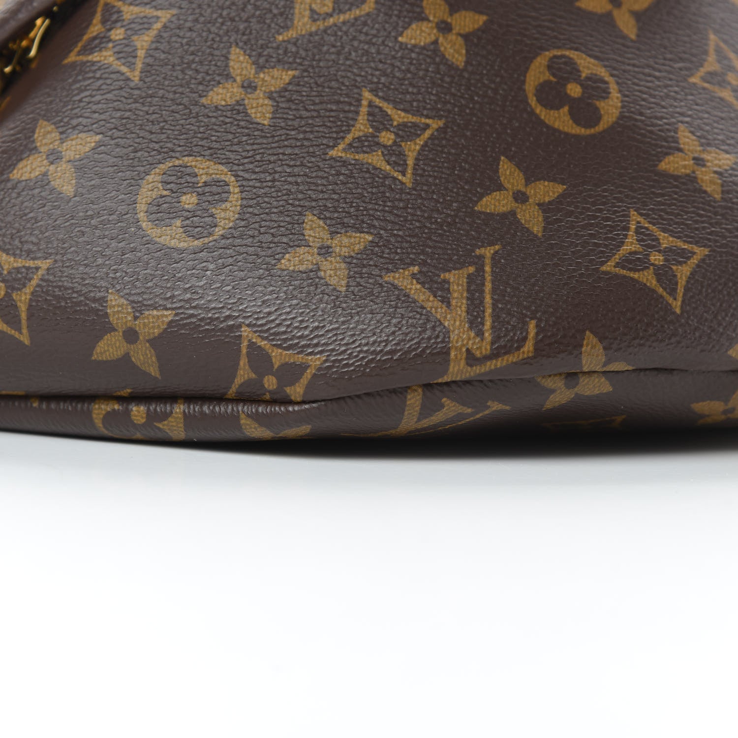 Louis Vuitton Monogram Bumbag 9 of 10