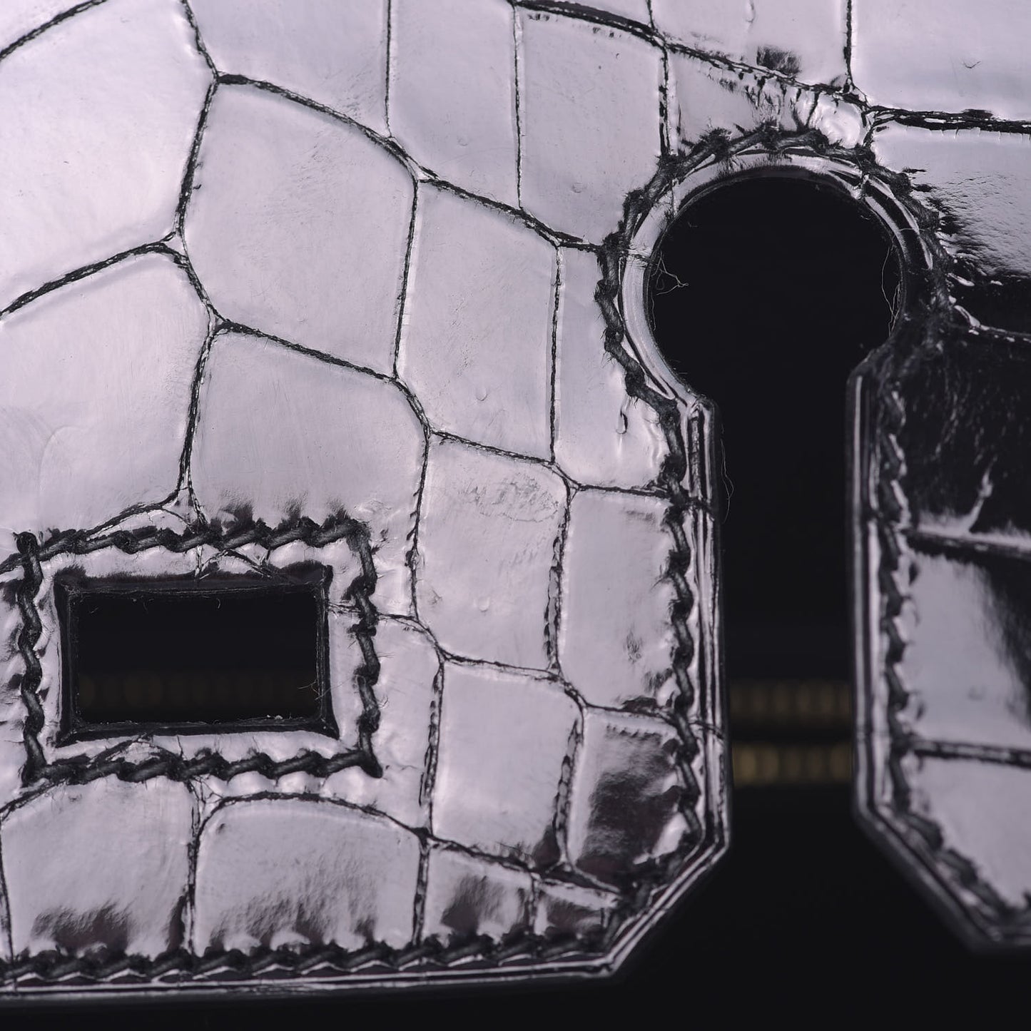 Taurillon Novillo Shiny Niloticus Crocodile Birkin Touch 25 Black