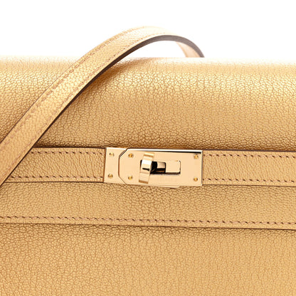 Hermes Metallic Chevre Chamkilight Kelly Wallet To Go Dore 8 of 11