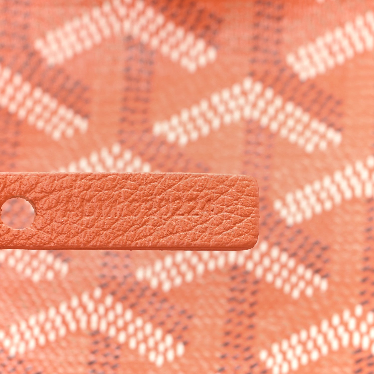 Goyard Goyardine Saint Louis PM Orange 7 of 10