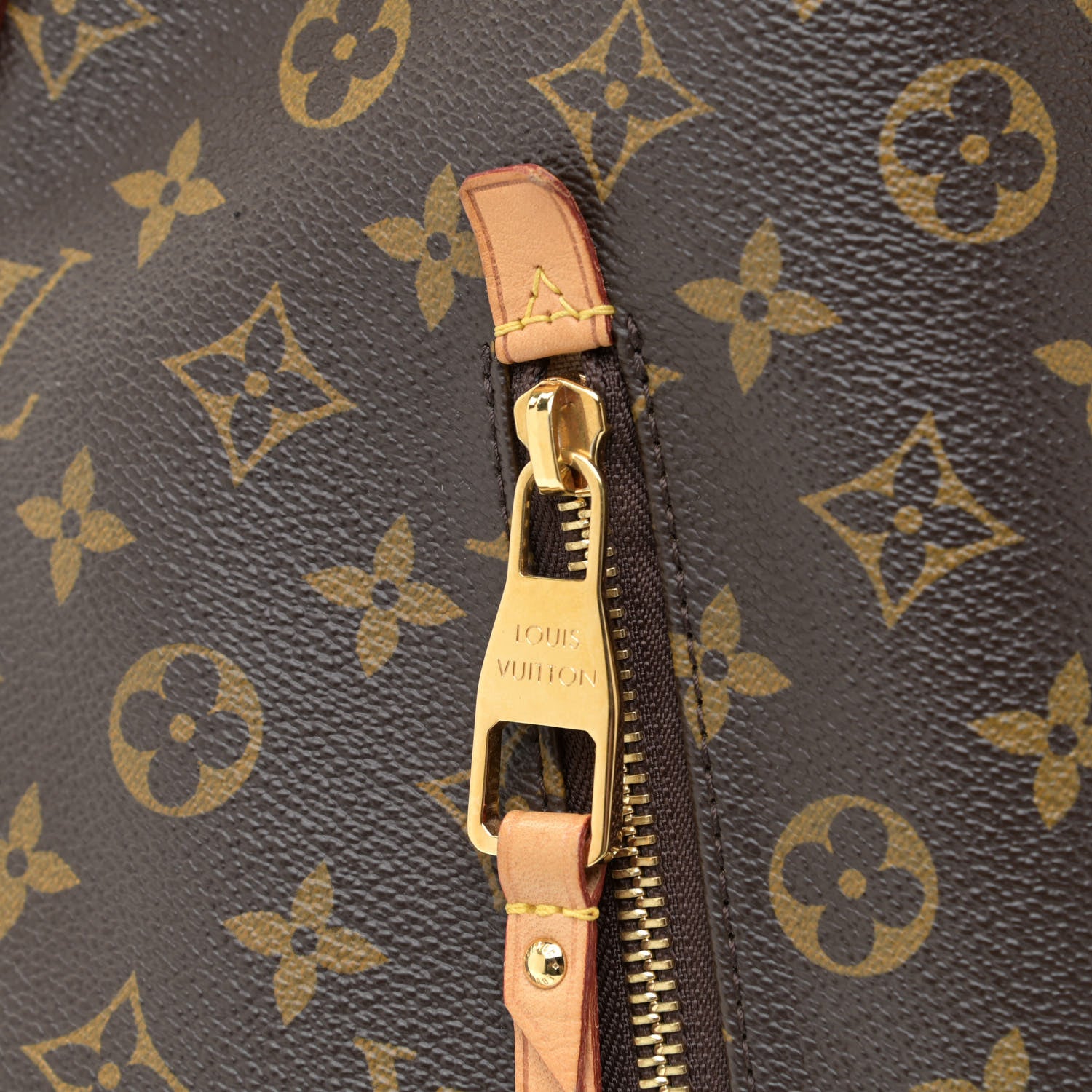 Louis Vuitton Monogram Delightful GM 10 of 15