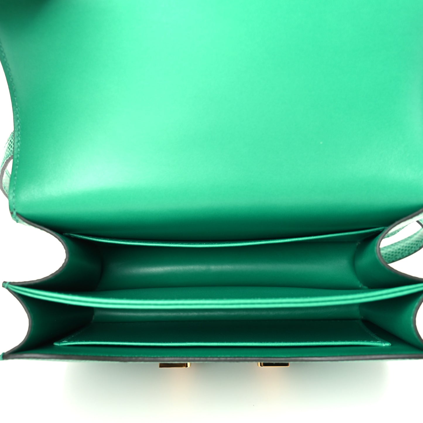 Lizard Constance 18 Menthe