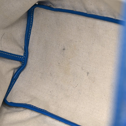Goyard Goyardine Saint Louis PM Sky Blue 25 of 29