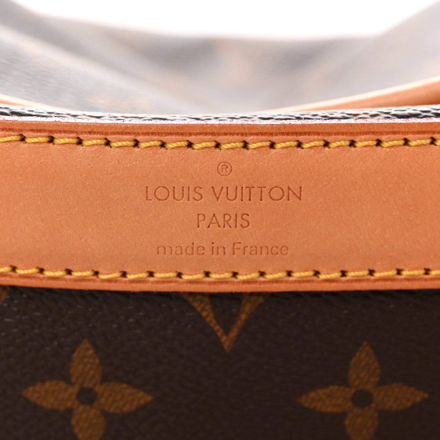 Louis Vuitton Monogram Sac Chien 40 Pet Carrier 5 of 12