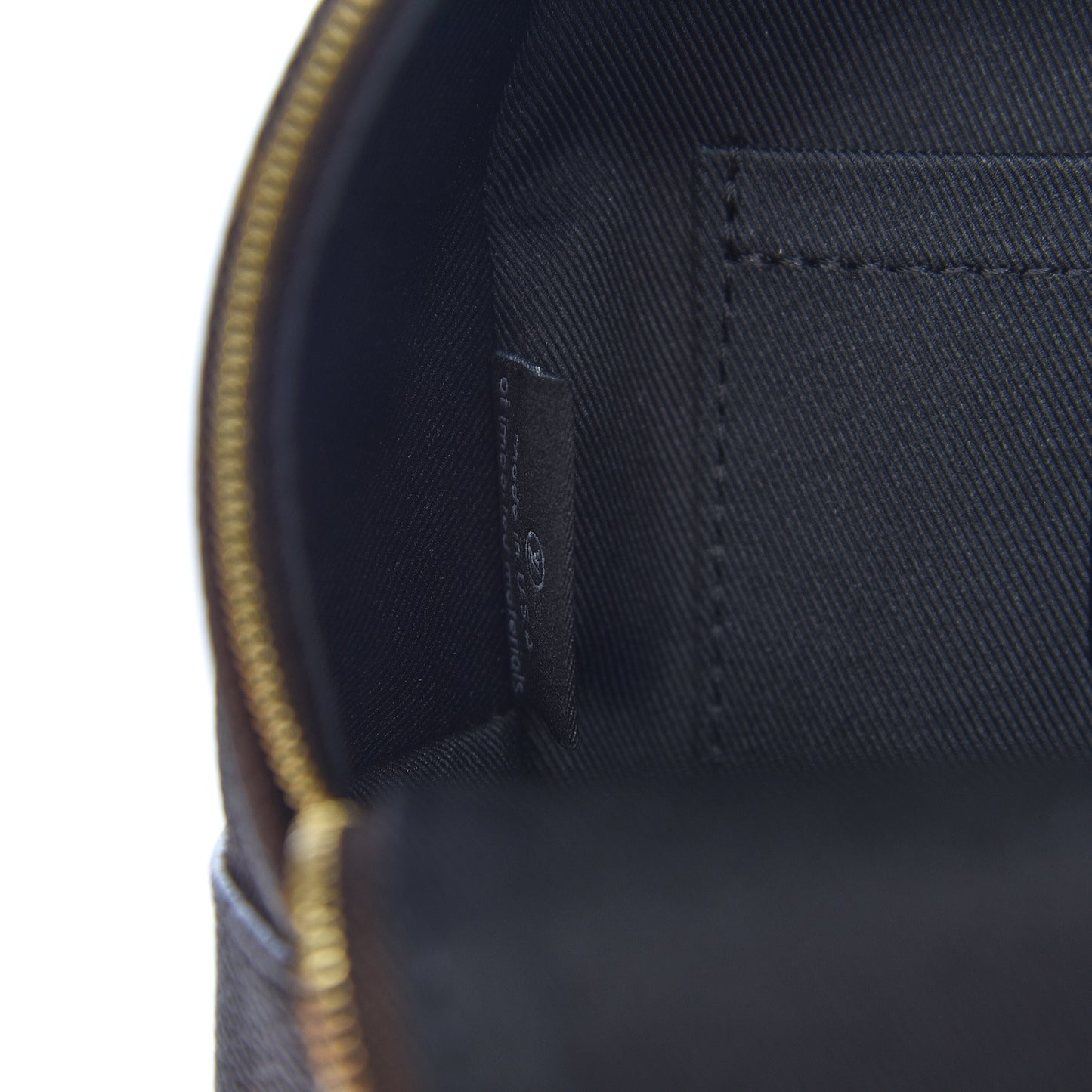 Monogram Palm Springs Backpack Mini