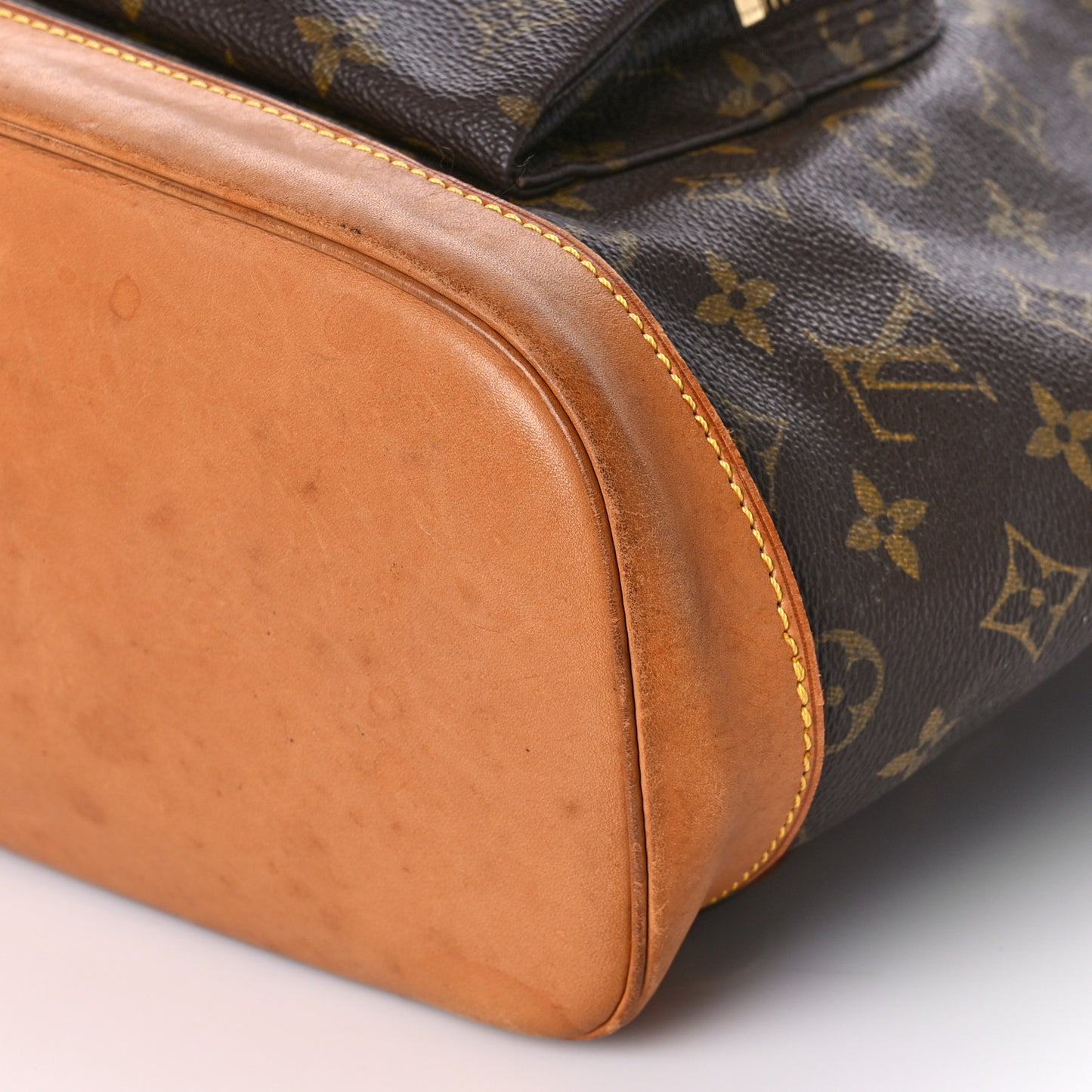 Monogram Montsouris GM Backpack