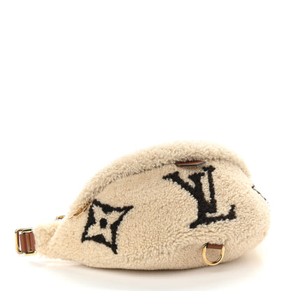 Louis Vuitton Monogram Teddy Bumbag 4 of 9