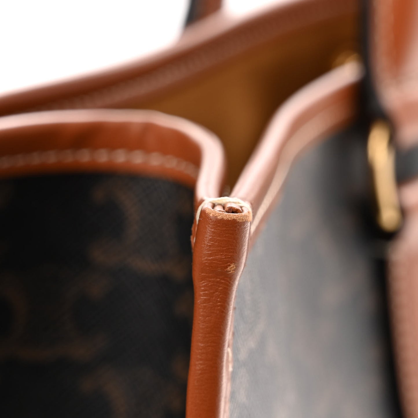 Triomphe Canvas Calfskin Horizontal Cabas Tan