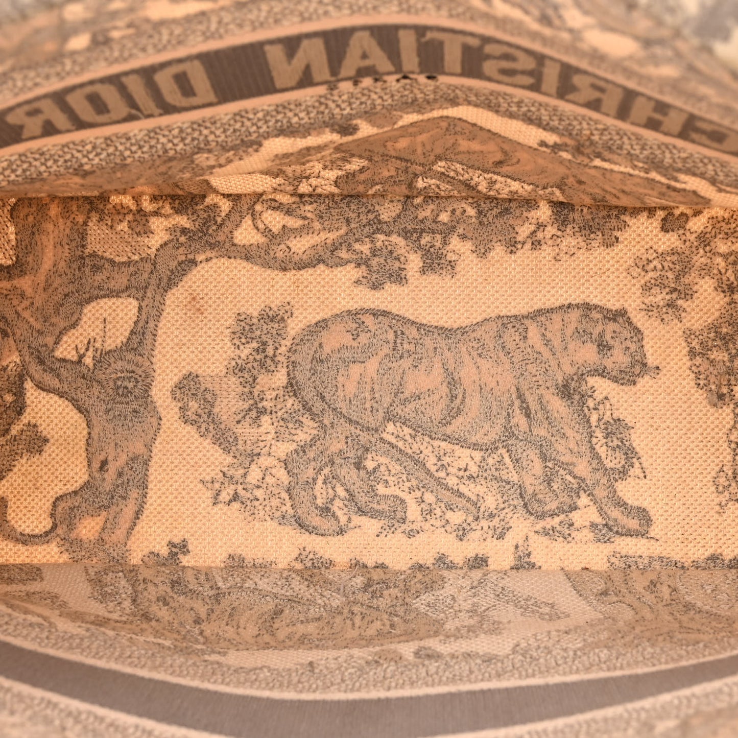 Canvas Embroidered Medium Dioriviera Toile De Jouy Book Tote Gray